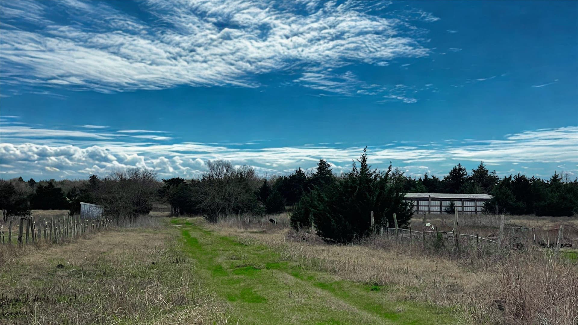 3.13 acres in Collin County - photo 17