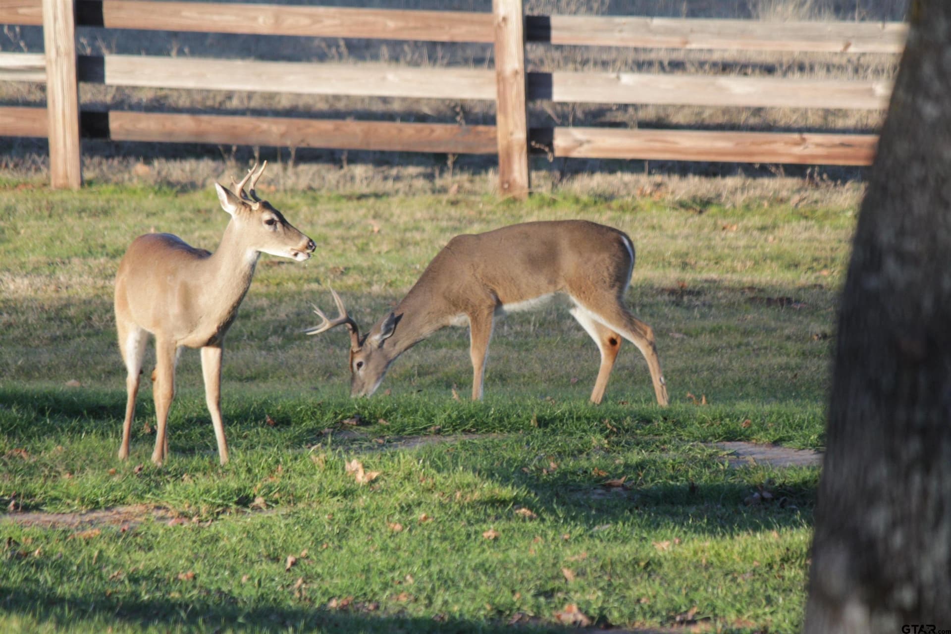 163.06 acres in Anderson County - photo 38
