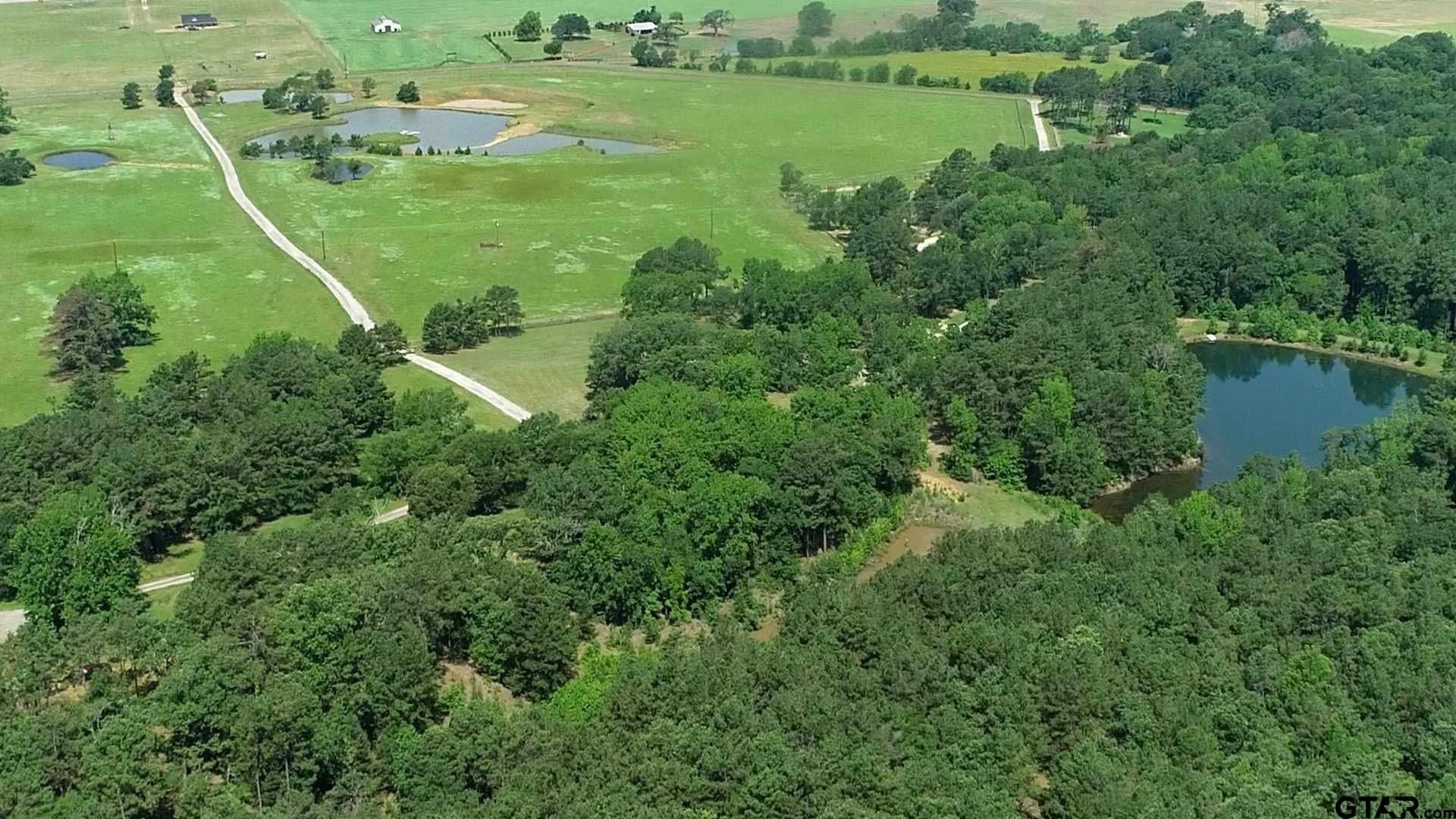 163.06 acres in Anderson County - photo 3