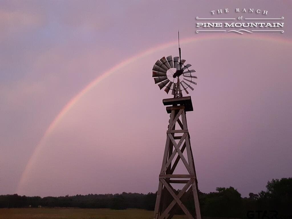 163.06 acres in Anderson County - photo 48