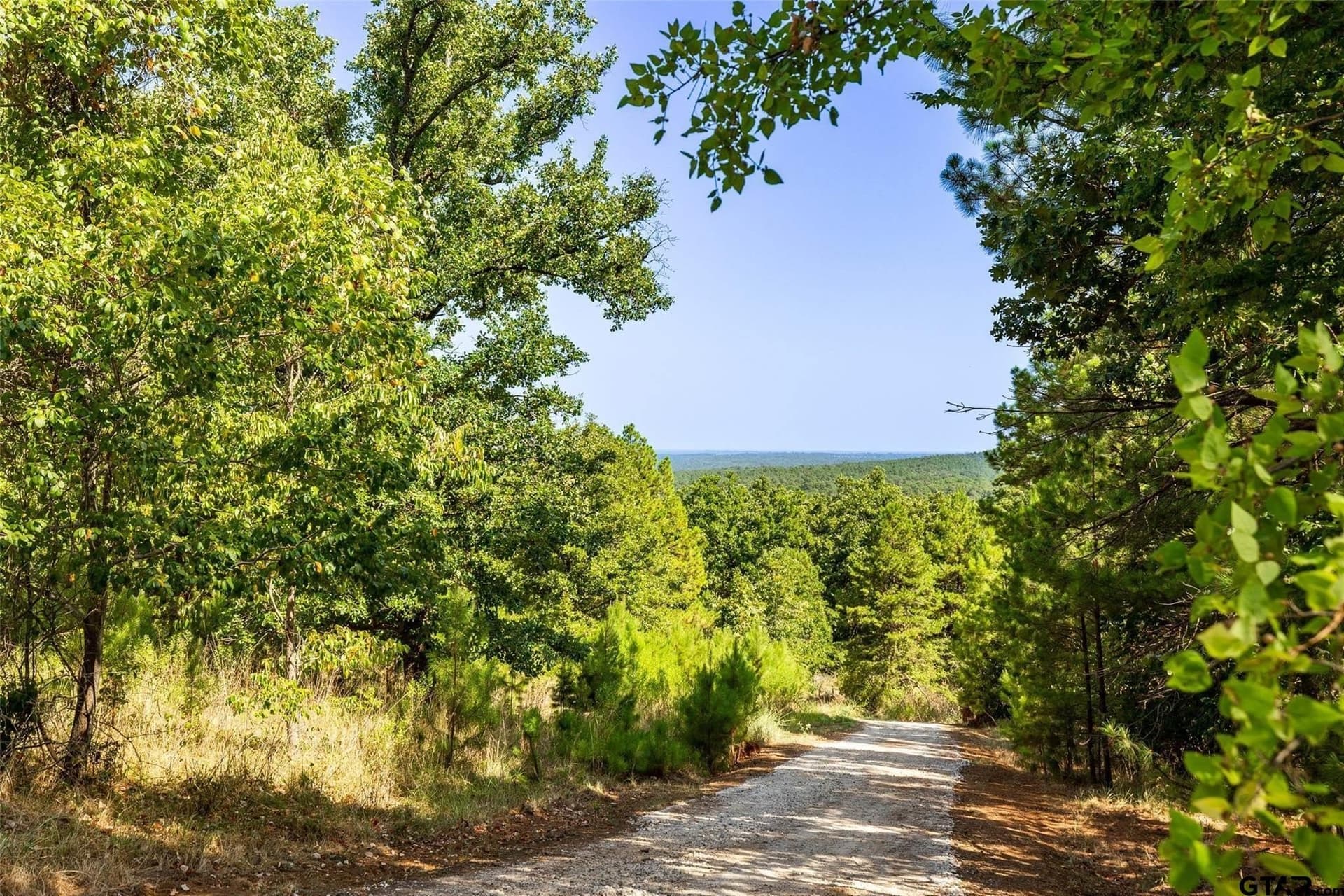 163.06 acres in Anderson County - photo 36