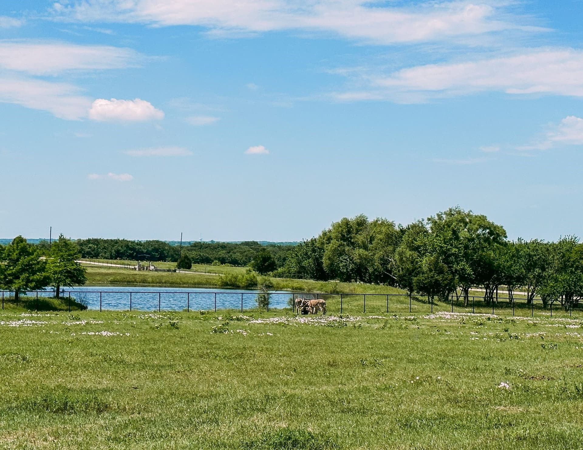 1 acres in Collin County featured view