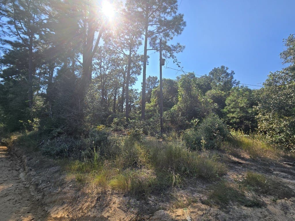 762,300 acres in Texas County gallery image 3