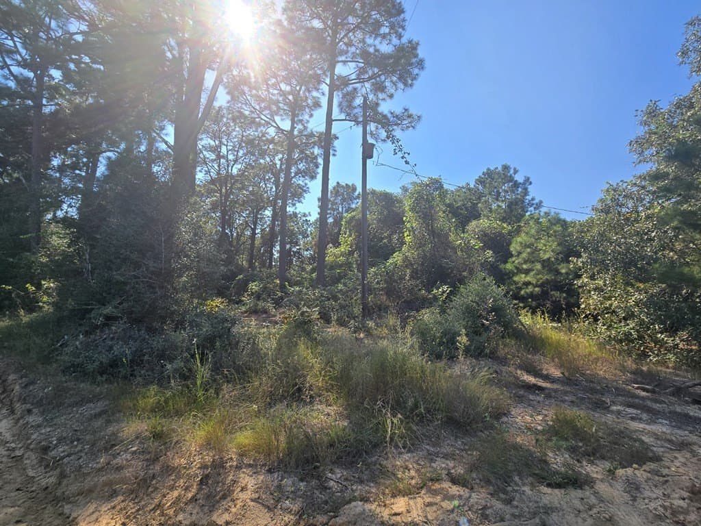 762,300 acres in Texas County gallery image 2