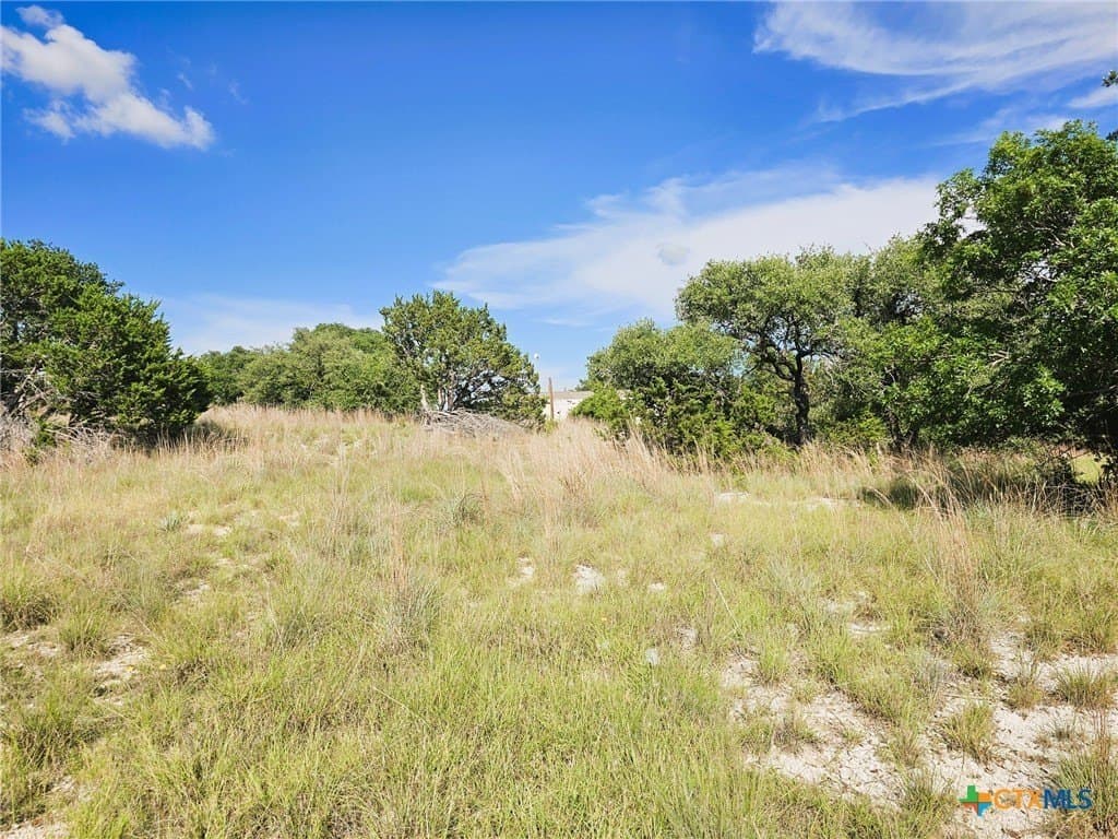 7.51 acres in Burnet County - photo 6