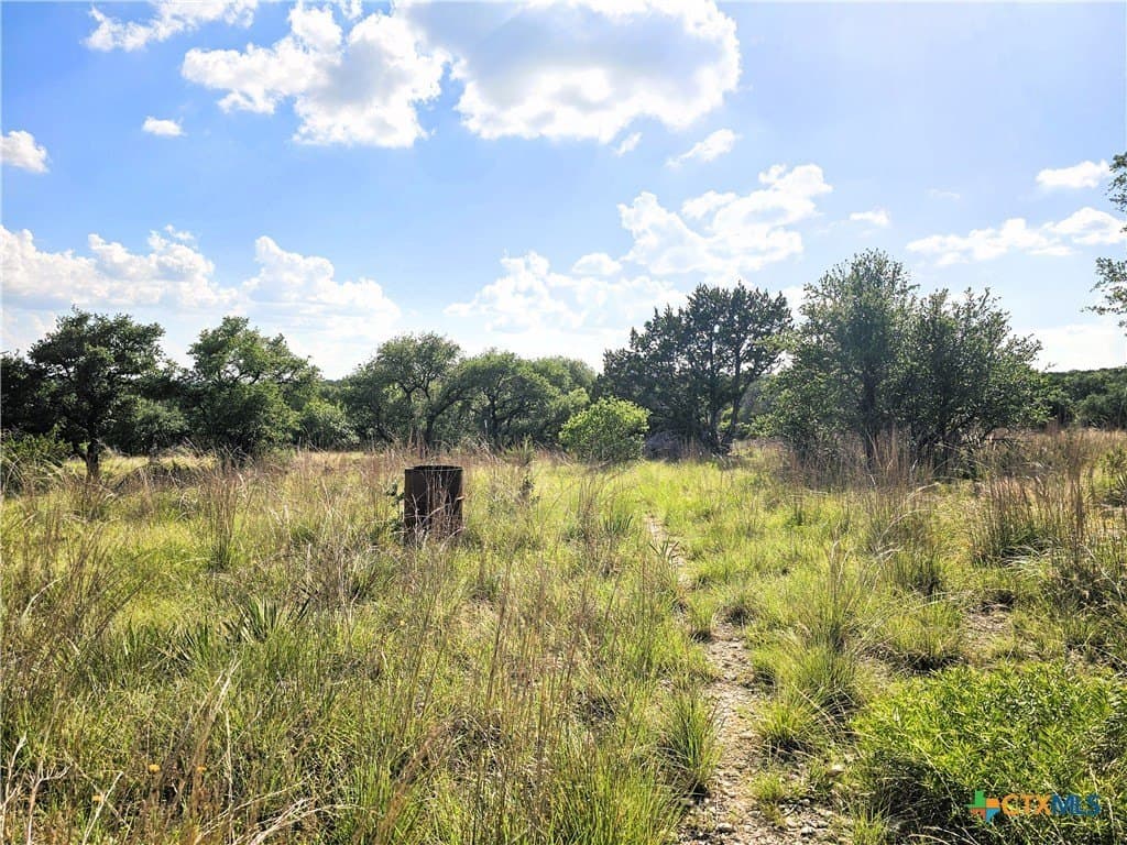 7.51 acres in Burnet County gallery image 2
