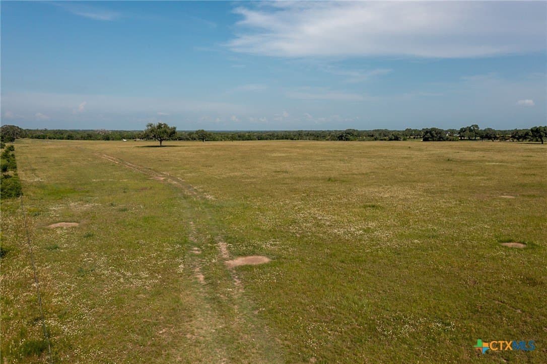 100 acres in DeWitt County featured view