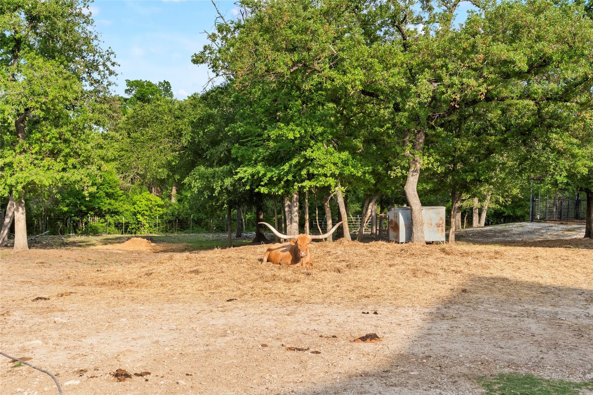 10.24 acres in Tarrant County - photo 38