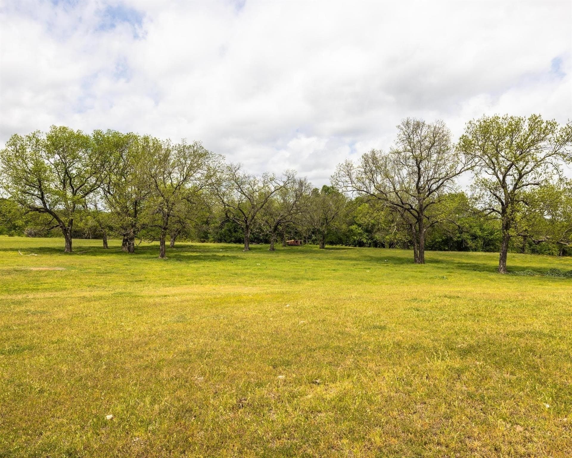 54.67 acres in Erath County - photo 4