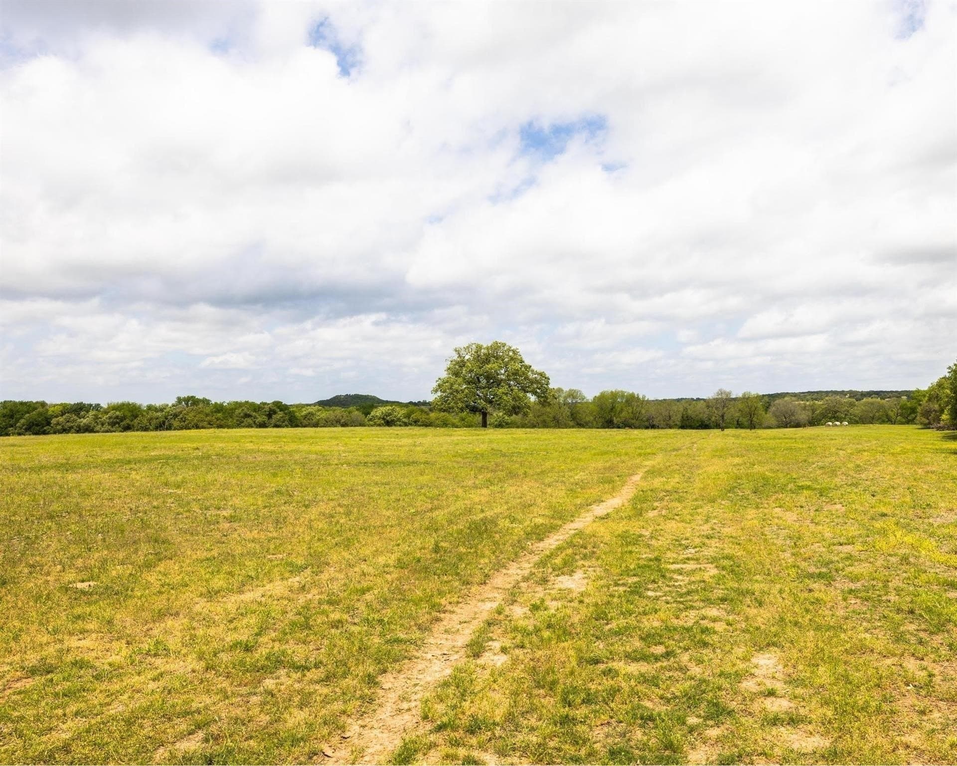 54.67 acres in Erath County - photo 9