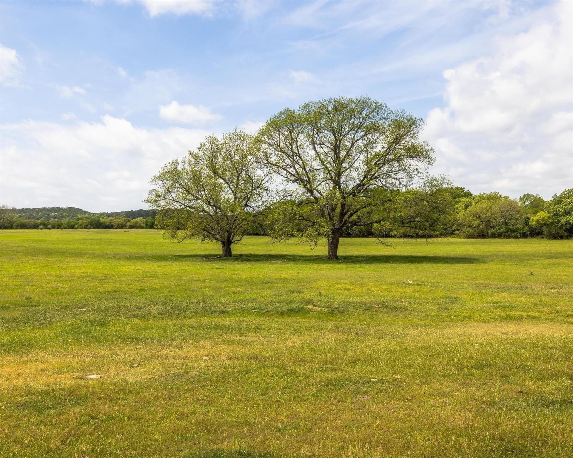 54.67 acres in Erath County - photo 5
