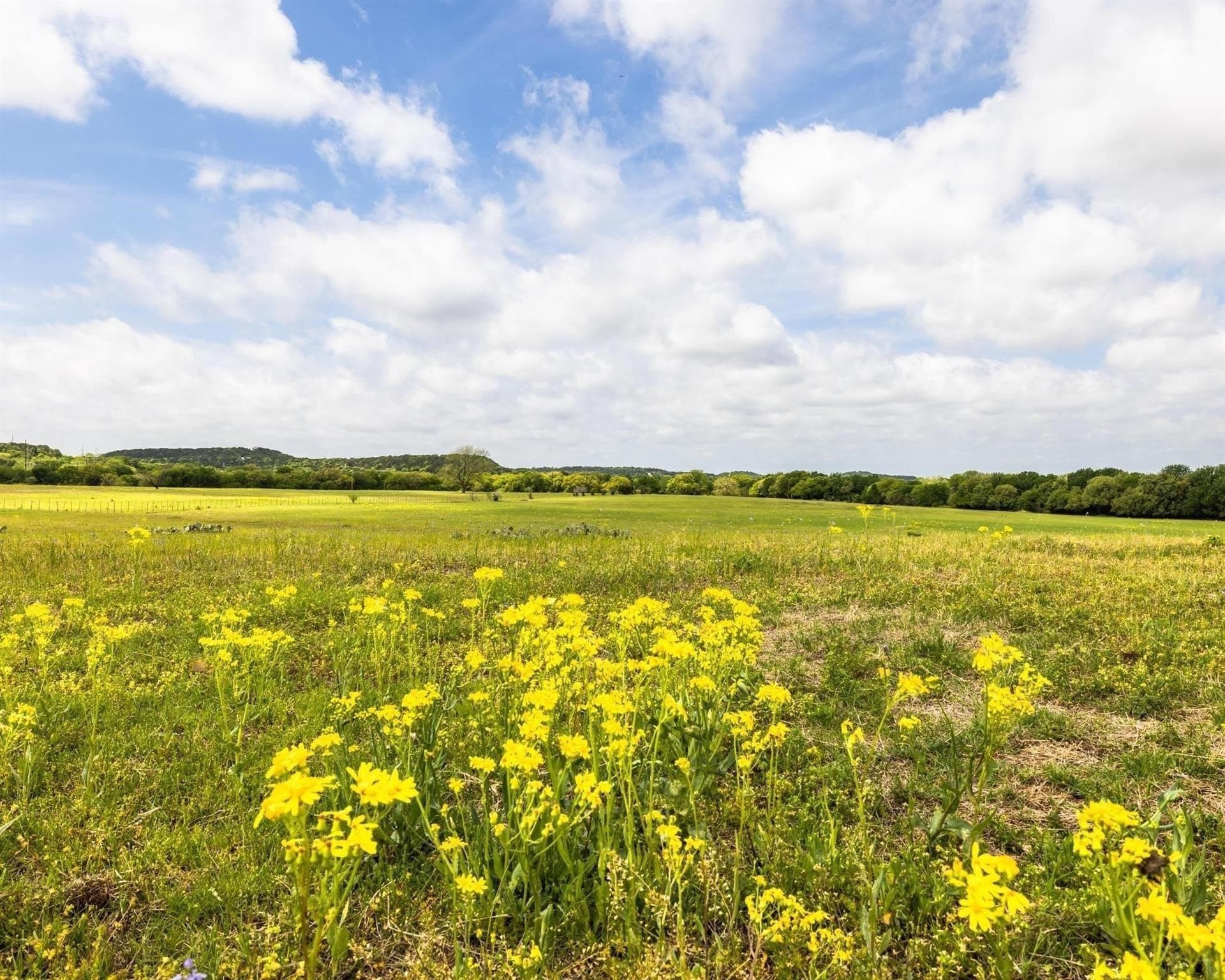 54.67 acres in Erath County - photo 7