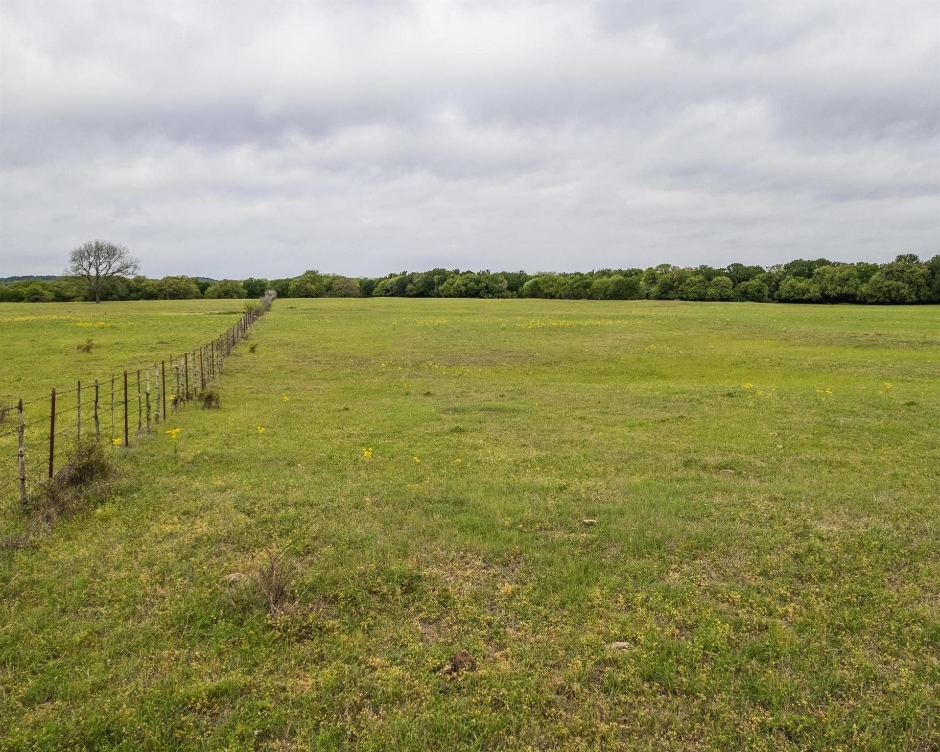 54.67 acres in Erath County - photo 12