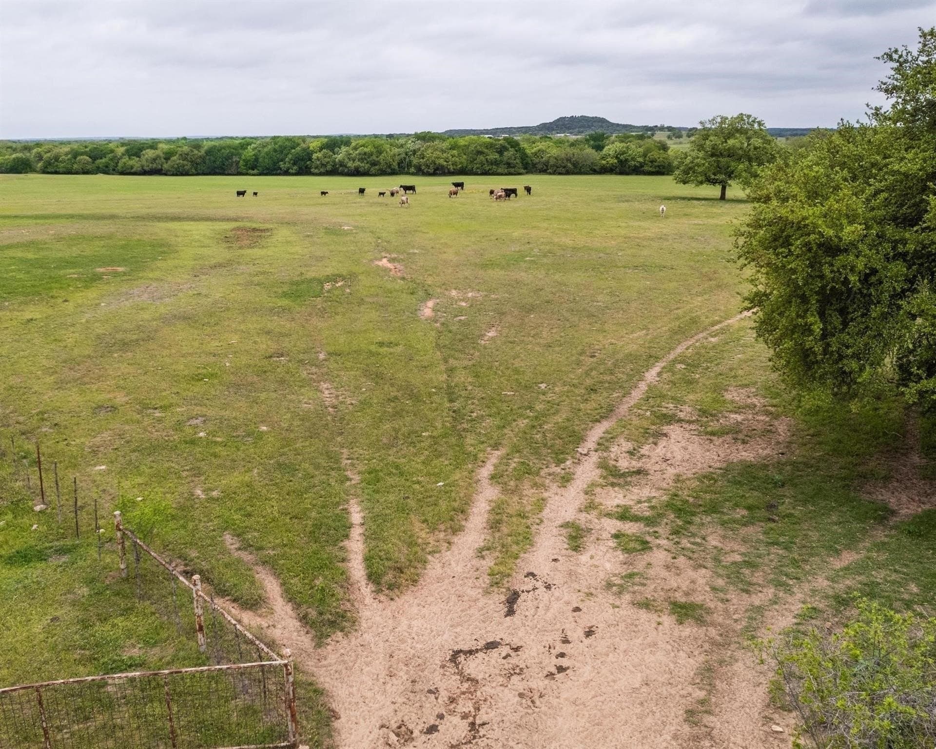 54.67 acres in Erath County - photo 14