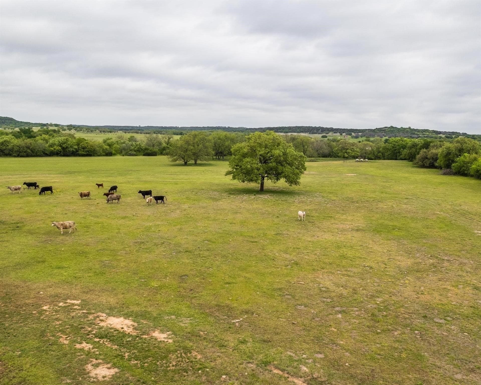54.67 acres in Erath County - photo 6