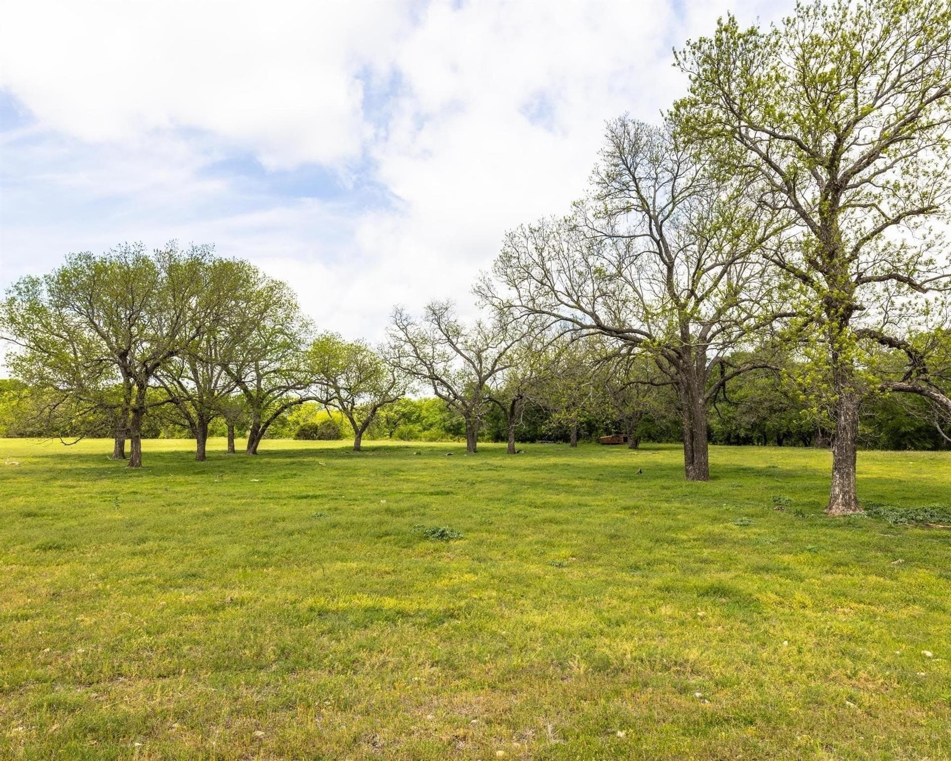 54.67 acres in Erath County