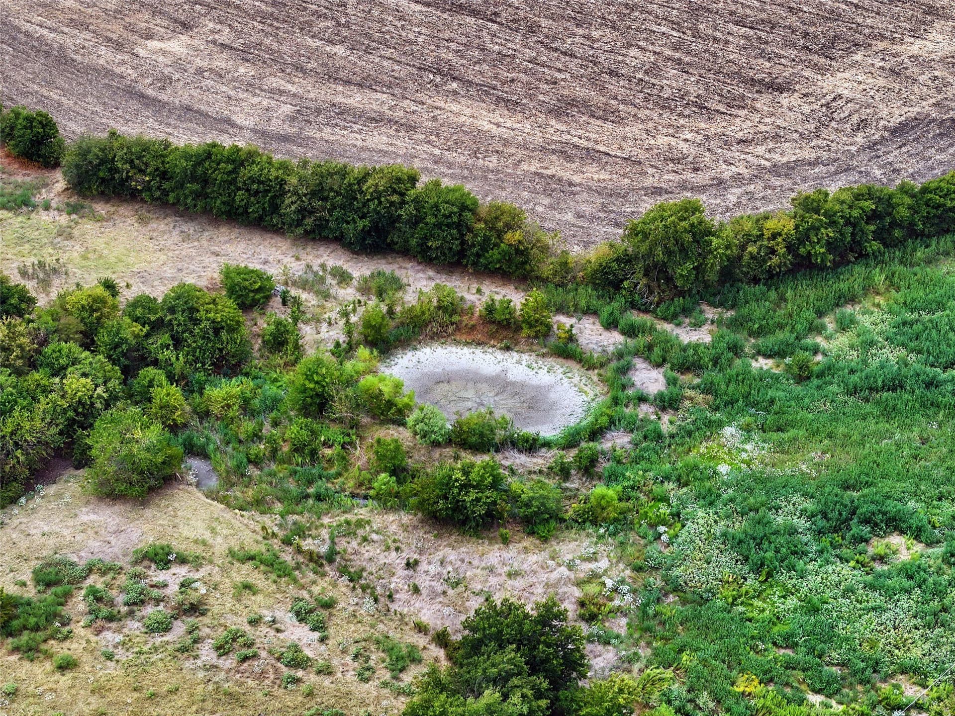 81.25 acres in Hill County - photo 9