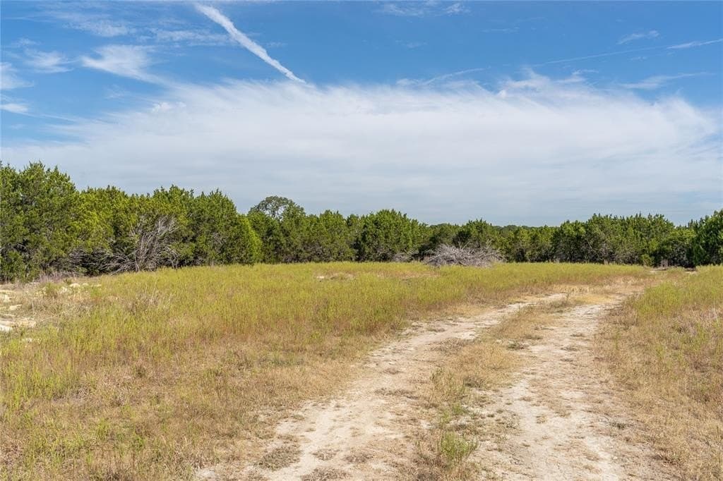 66.99 acres in Bell County gallery image 2