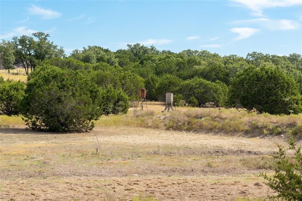 66.99 acres in Bell County gallery image 4