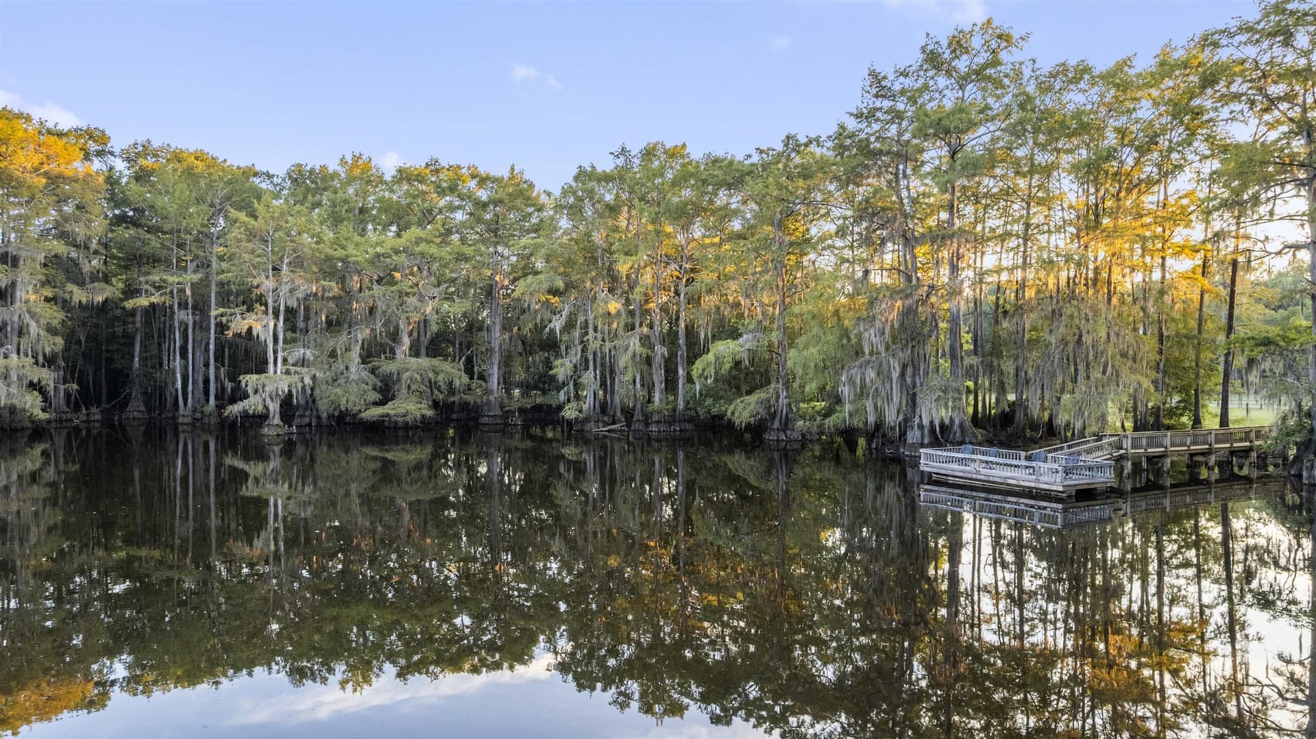 32.05 acres in Marion County - photo 46