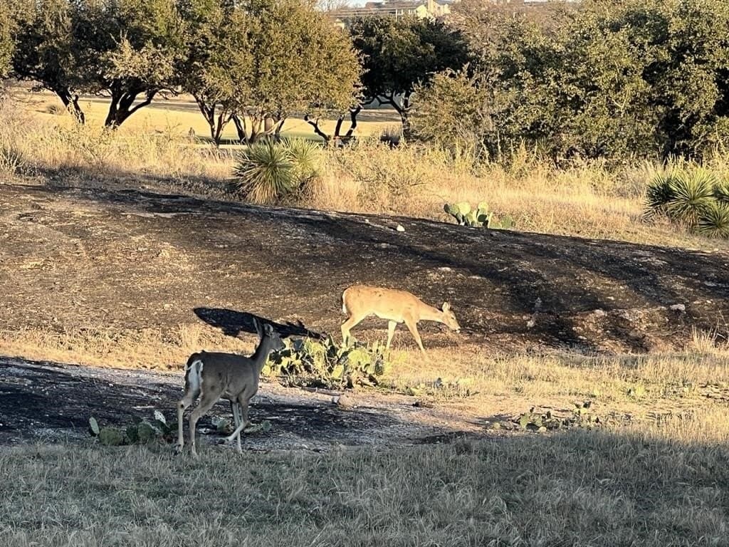 0.49 acres in Llano County - photo 10