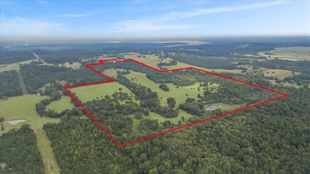 137.4 acres in Upshur County gallery image 2