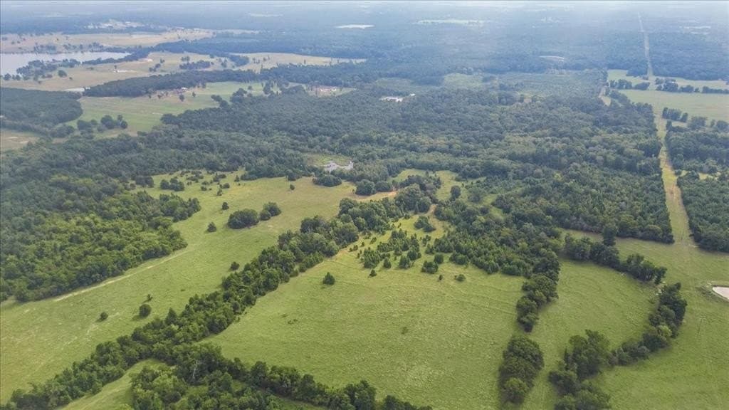 137.4 acres in Upshur County gallery image 4