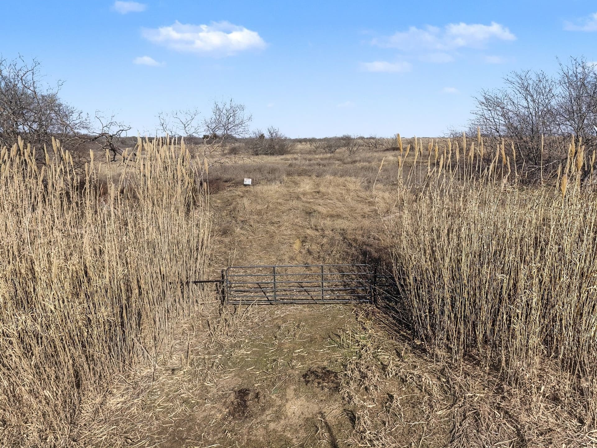 10.01 acres in Hill County - photo 13