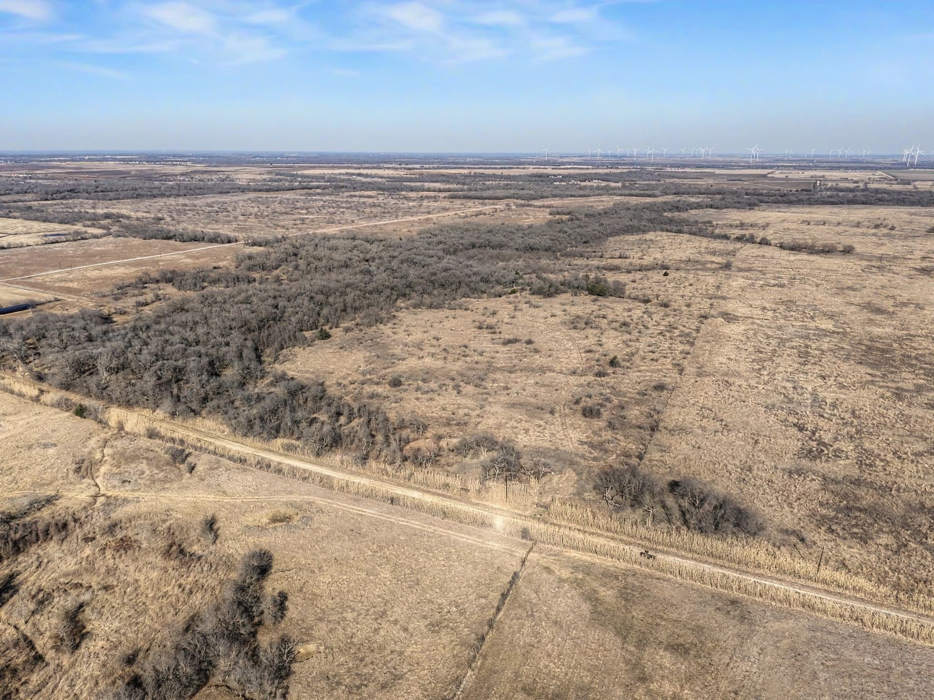 10.01 acres in Hill County gallery image 3