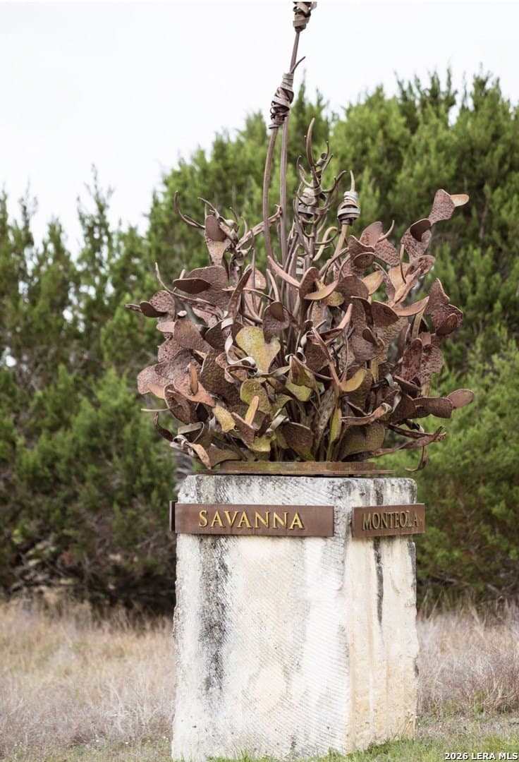 5.01 acres in Comal County featured view