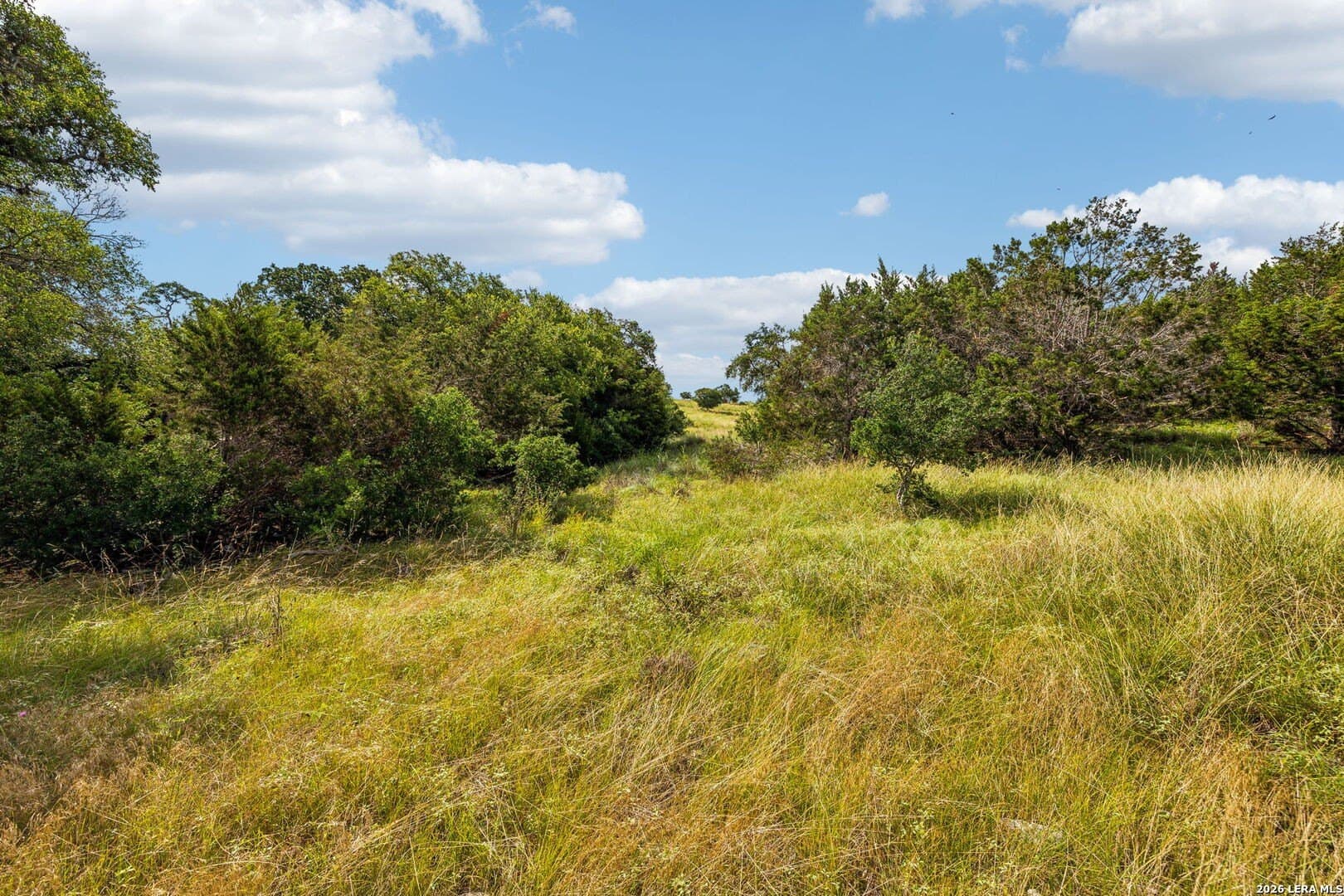 1.86 acres in Comal County - photo 8