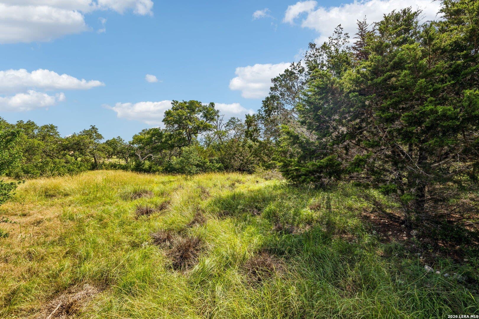 1.86 acres in Comal County - photo 24