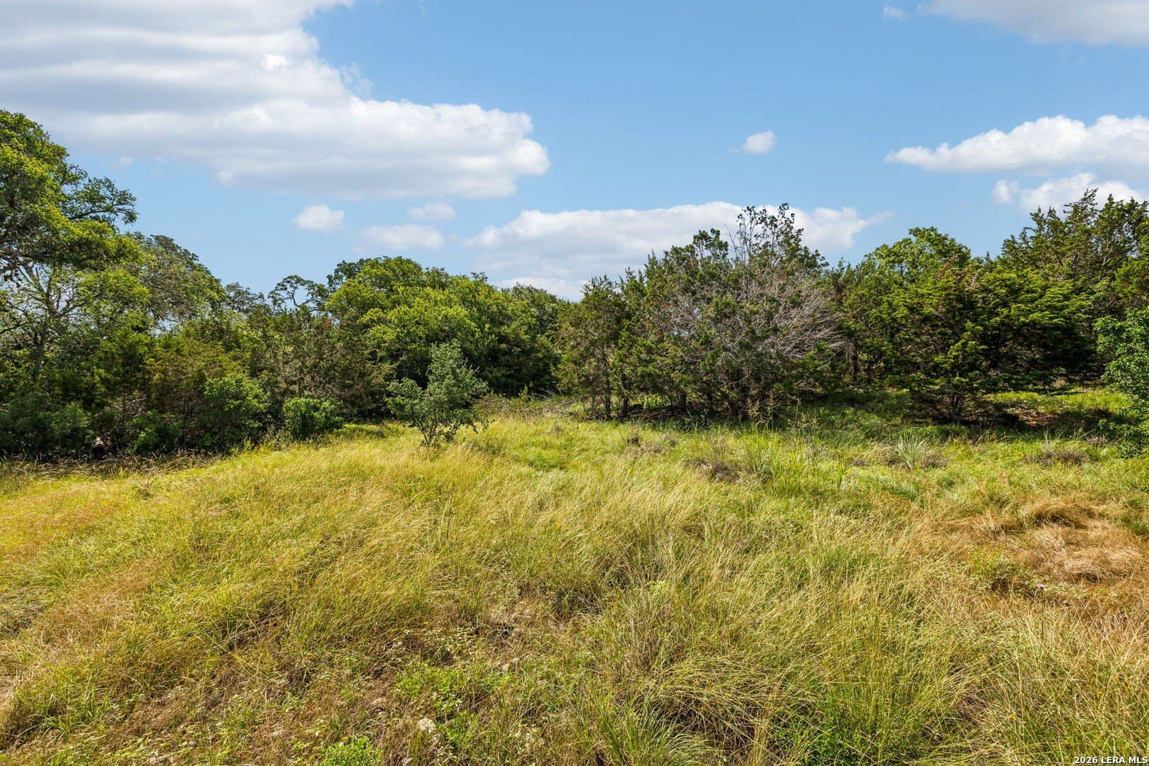 1.86 acres in Comal County - photo 23