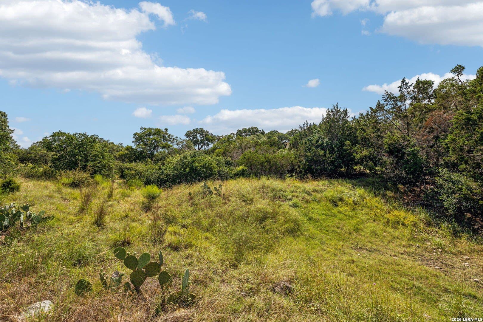 1.86 acres in Comal County - photo 6