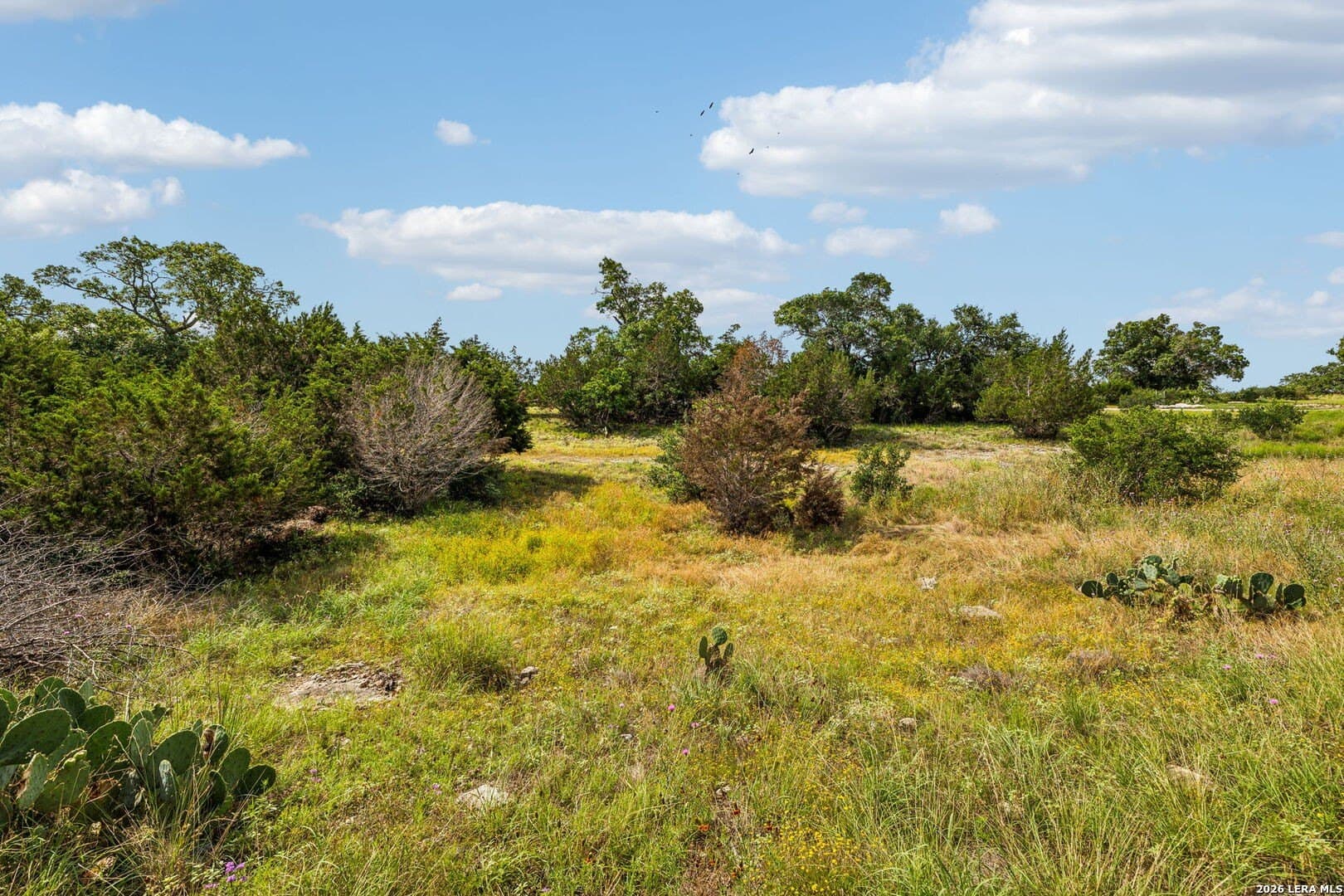 1.86 acres in Comal County featured view