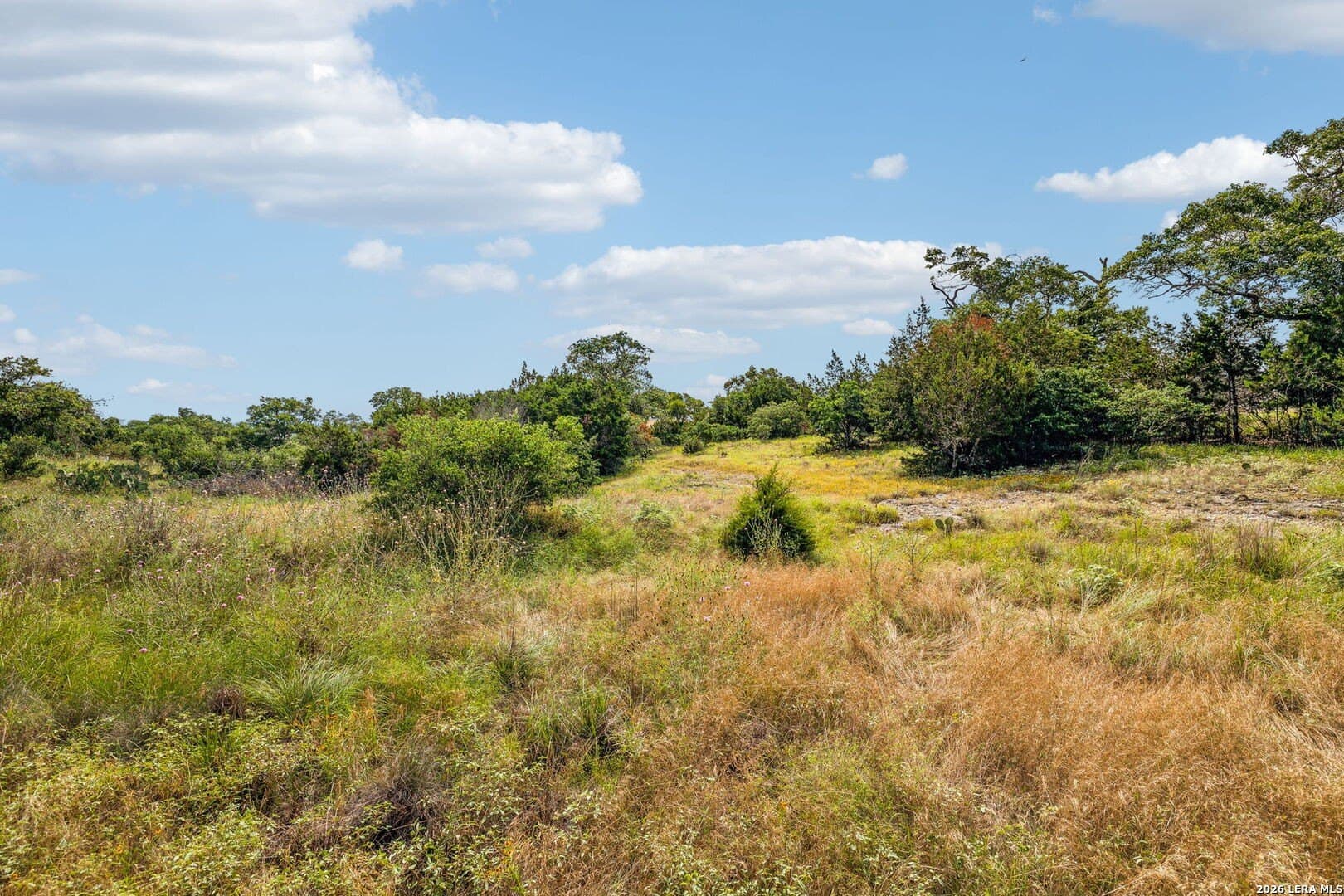 1.86 acres in Comal County gallery image 4