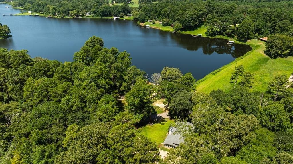 100 acres in ANDERSON County - photo 46