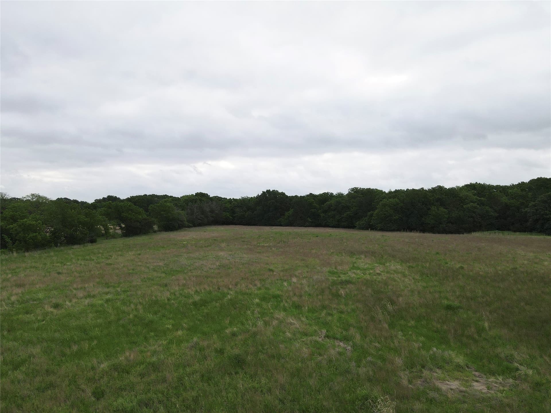 14.33 acres in Fannin County - photo 8