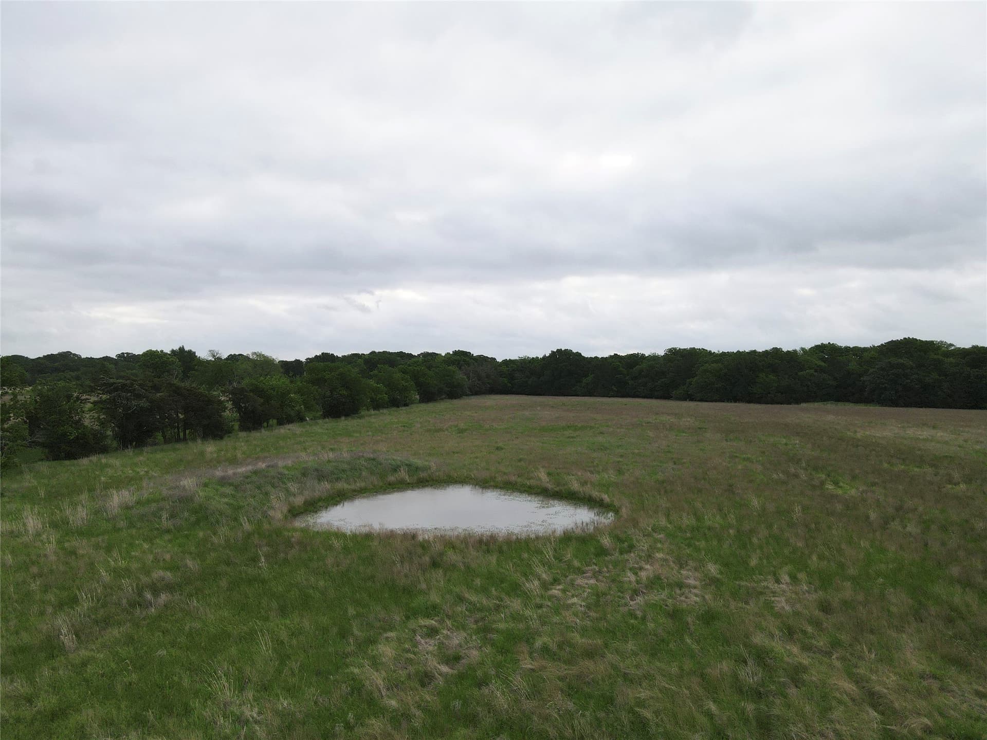 14.33 acres in Fannin County - photo 9