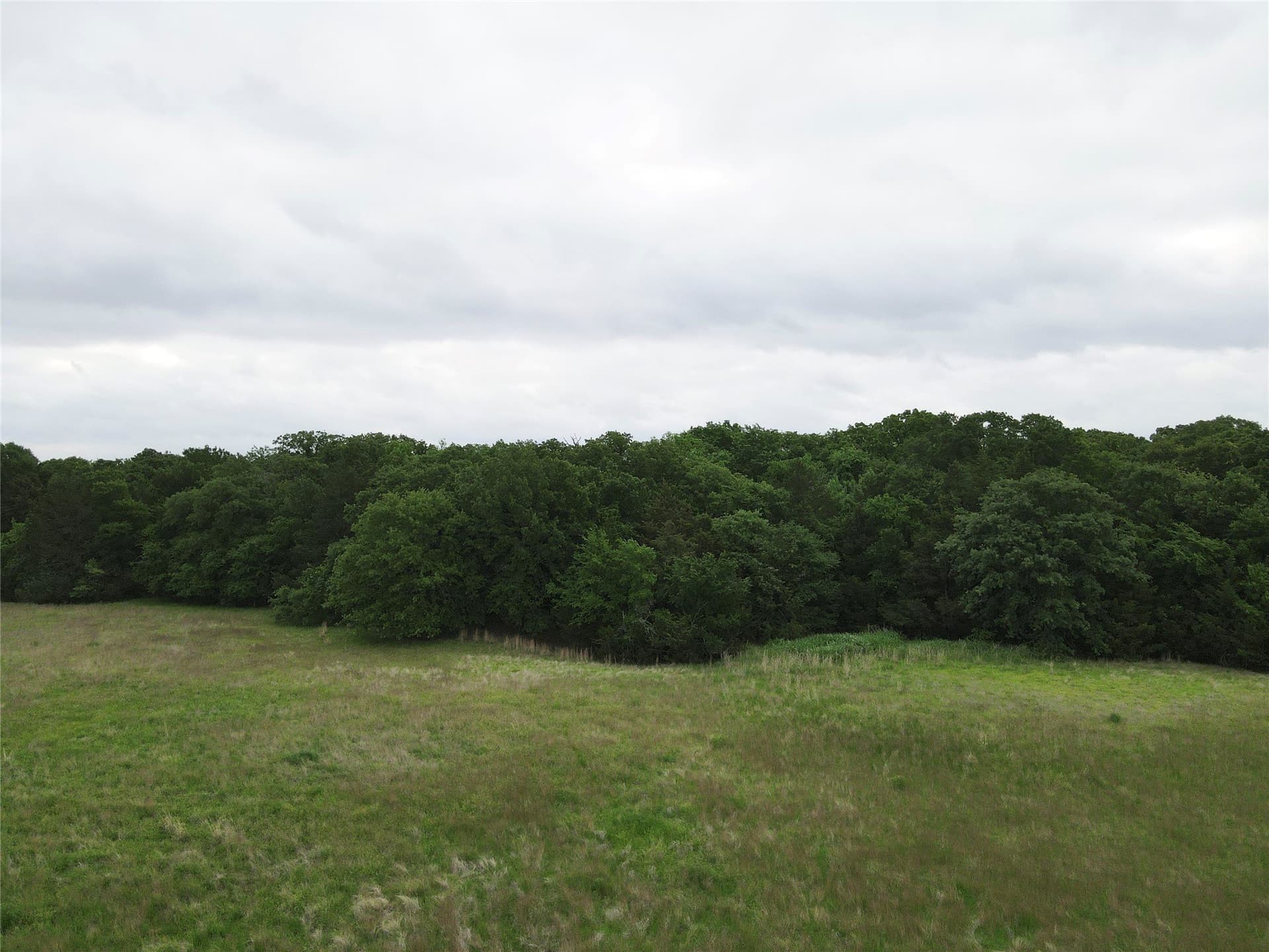 14.33 acres in Fannin County - photo 6