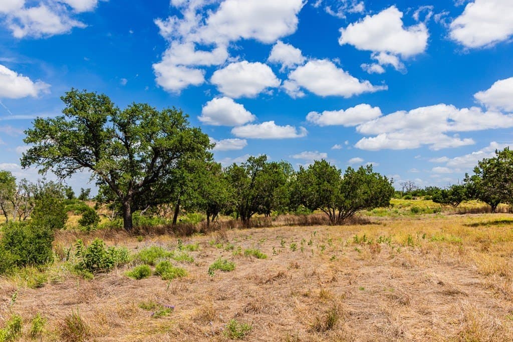 8.9 acres in Gillespie County - photo 8