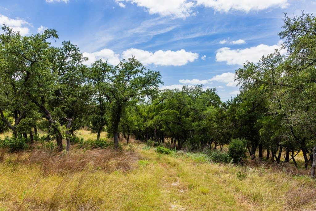 8.9 acres in Gillespie County - photo 6