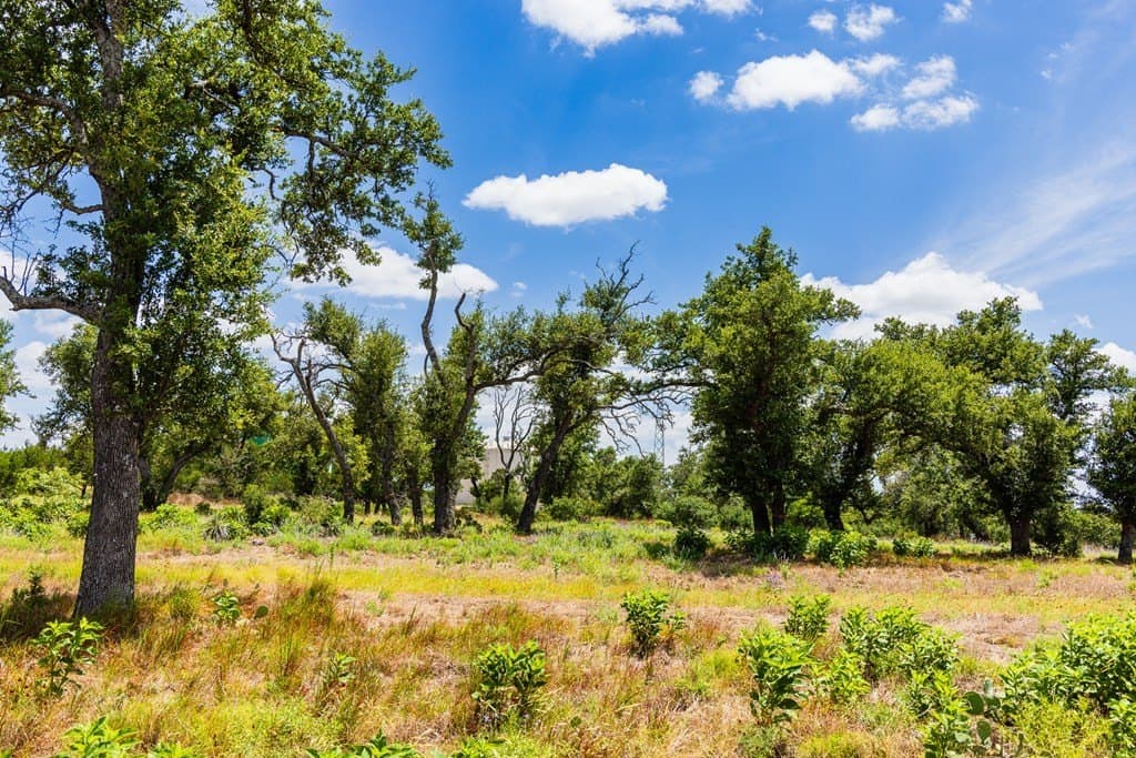8.9 acres in Gillespie County gallery image 2