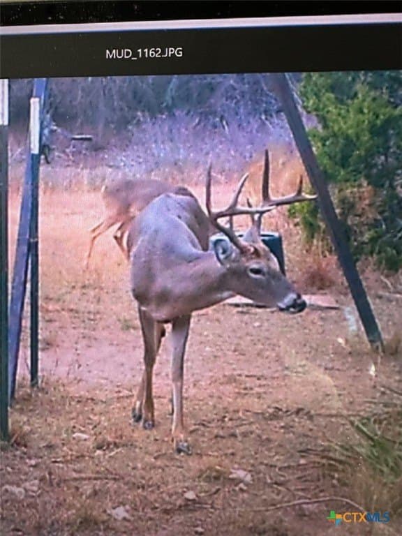 48.13 acres in Lampasas County
