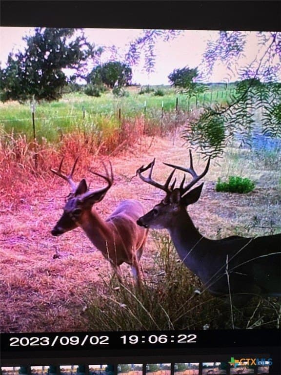 48.13 acres in Lampasas County featured view