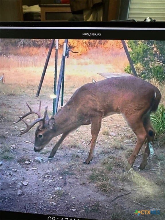 48.13 acres in Lampasas County gallery image 3