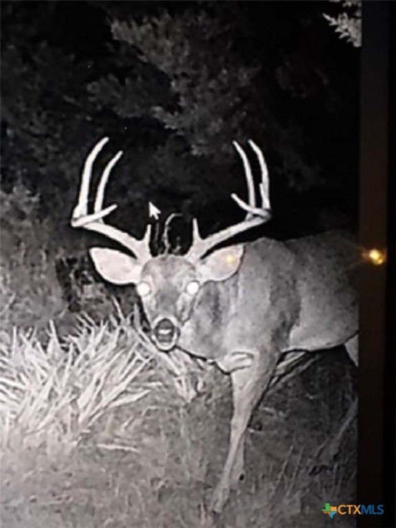 48.13 acres in Lampasas County gallery image 4