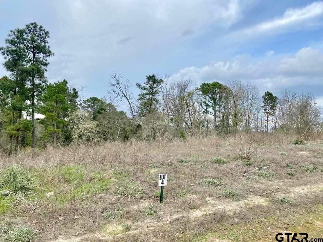 0.75 acres in Wood County - photo 15