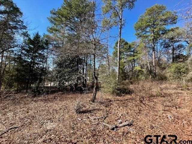 0.75 acres in Wood County - photo 11
