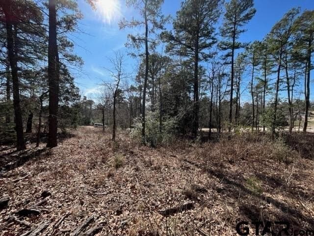 0.75 acres in Wood County - photo 9
